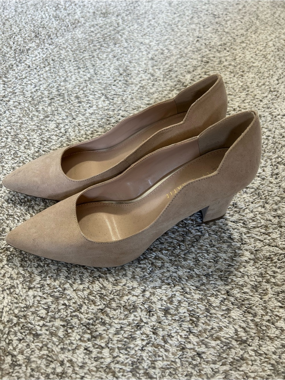 Kelly & Katie Pointed Block Heel Pumps in Taupe Brown